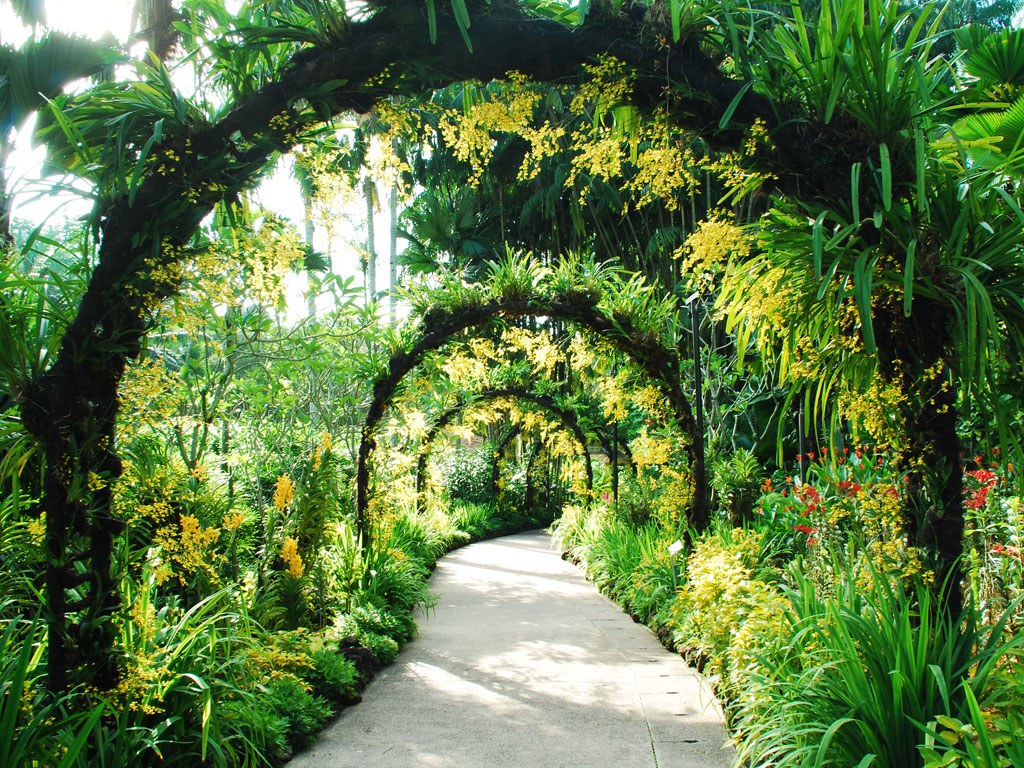 Botanic Gardens - Singapore