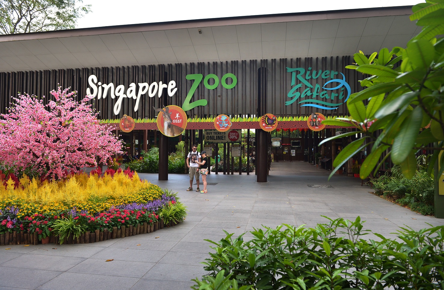 Zoo - Singapore